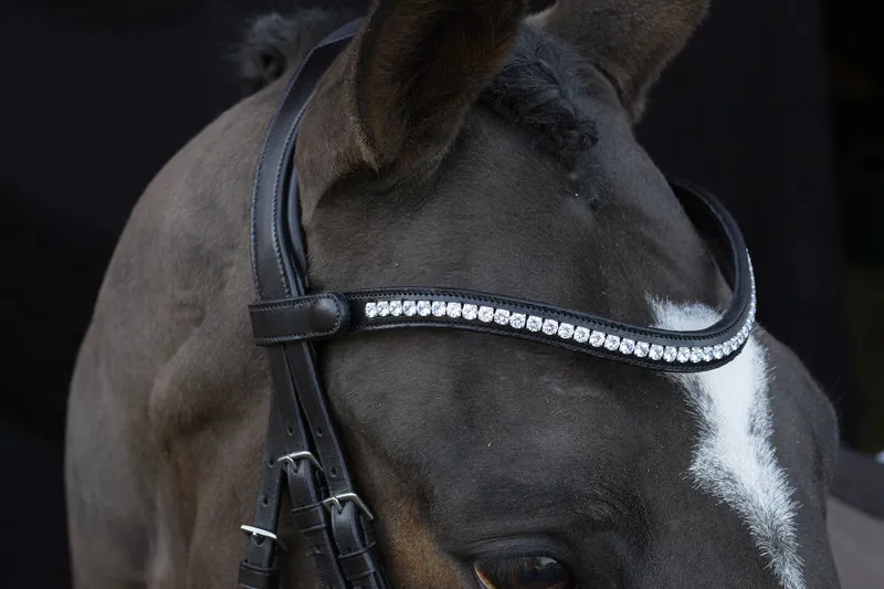 Schockemohle Charlston Flash Bridle in Black-2