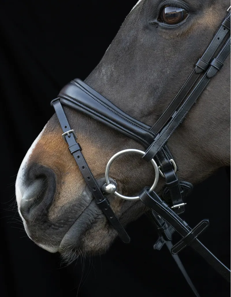 Schockemohle Charlston Flash Bridle in Black-4