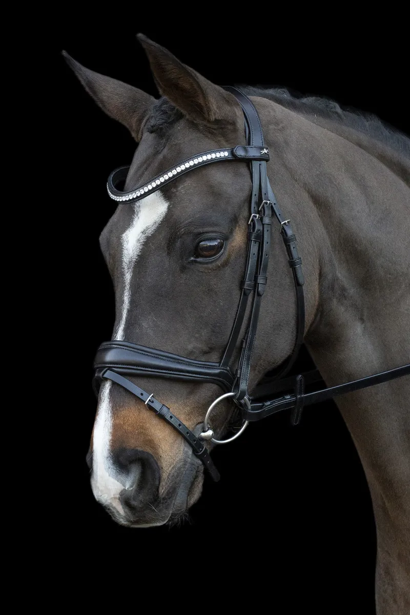 Schockemohle Charlston Flash Bridle in Black-2