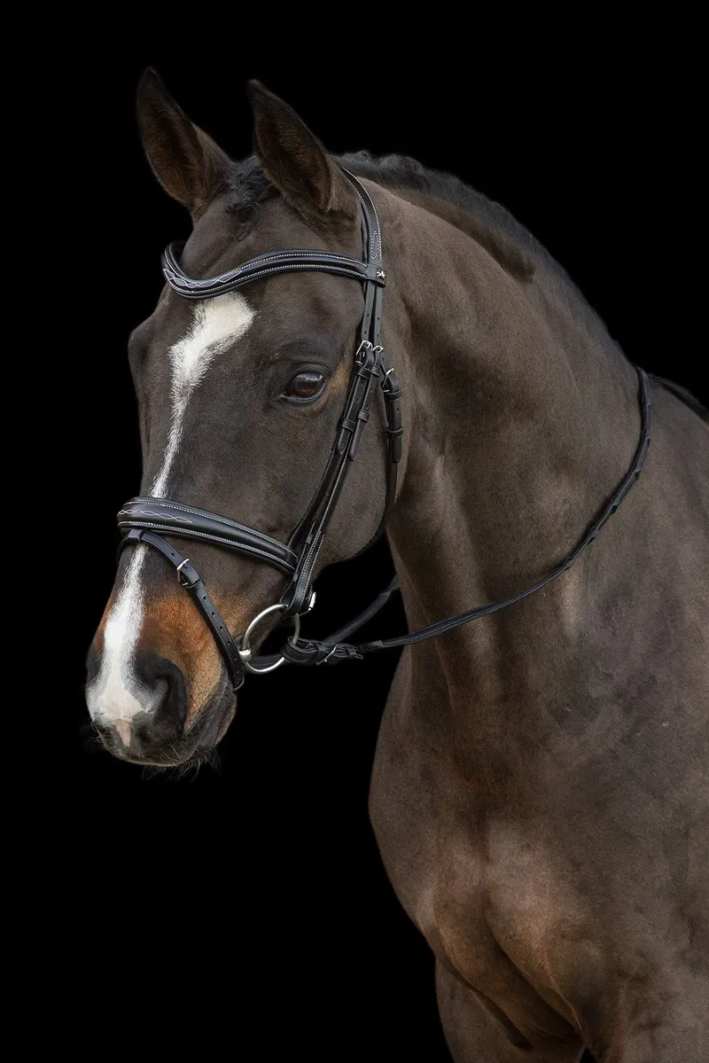 Schockemohle Monza F Bridle in Black-2