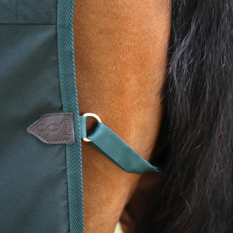 Shires Deluxe Stable Sheet in Green-6