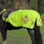 EQUI-FLECTOR Waterproof Exercise Sheet in Yellow