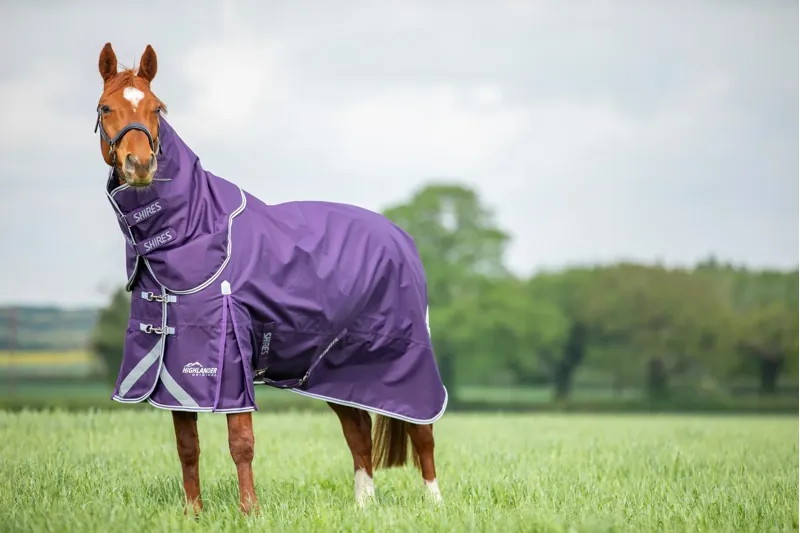Shires Highlander Turnout Rug and Neck Set 100g in Plum-2