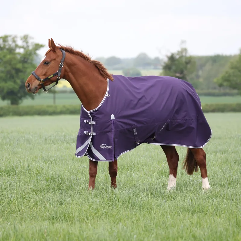 Shires Highlander Turnout Rug 100g in Plum