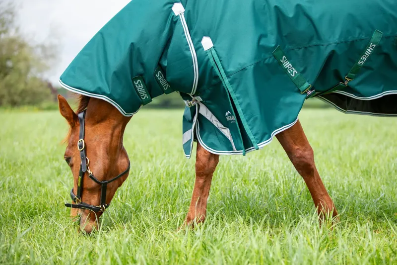 Shires Highlander Original 300g Turnout Combo Rug in Green-2