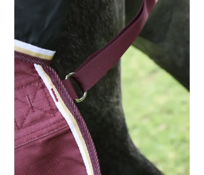 Shires Highlander Plus 100g Combo Turnout Rug in Maroon-3