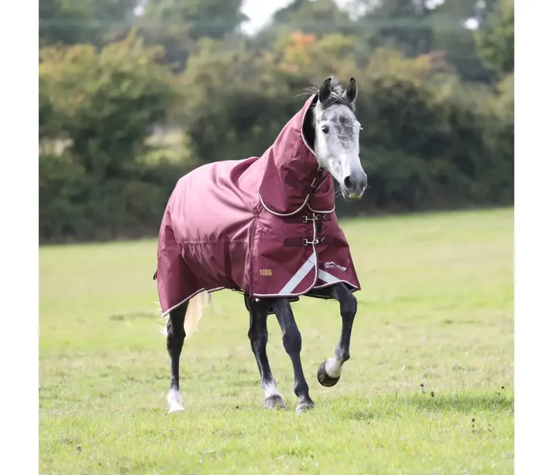 Shires Highlander Plus 100g Combo Turnout Rug in Maroon-8