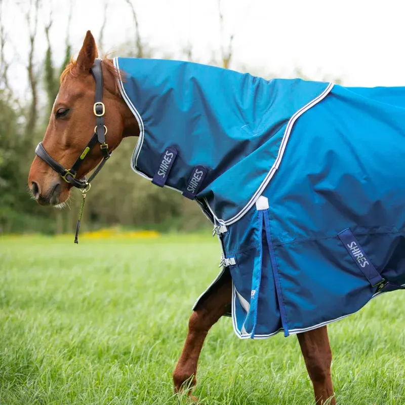 Highlander Original 200g Turnout Rug and Neck Set in Blue-4