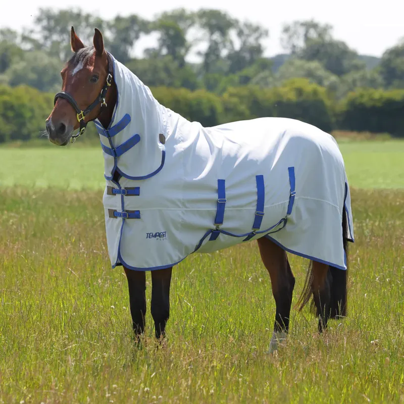 Shires Tempest Plus Sweet Itch Combo Rug in White and Air Force Blue