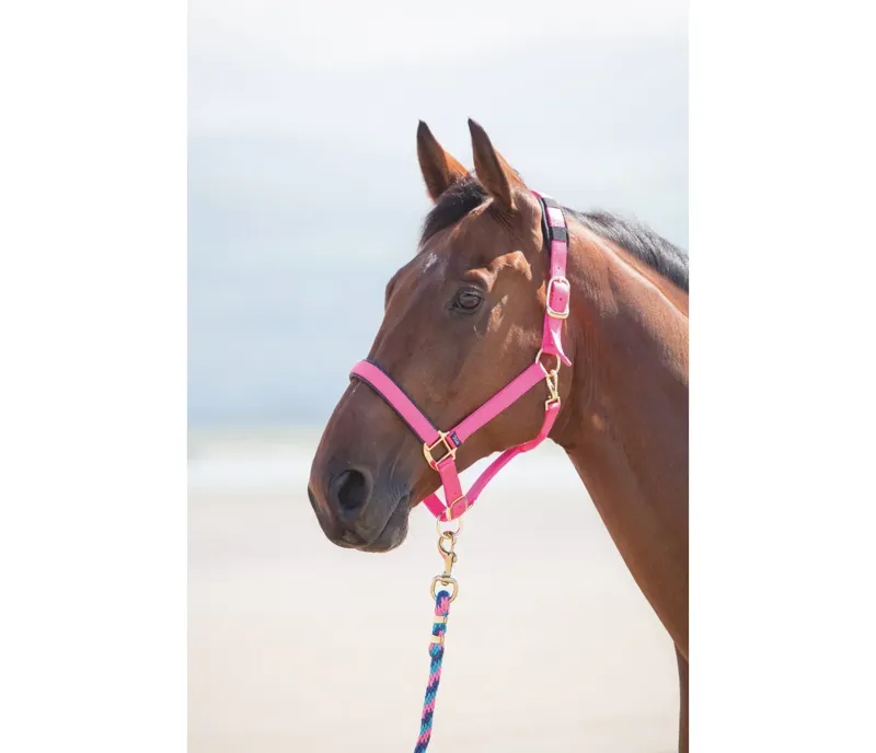 Shires Topaz Nylon Headcollar in Pink-1