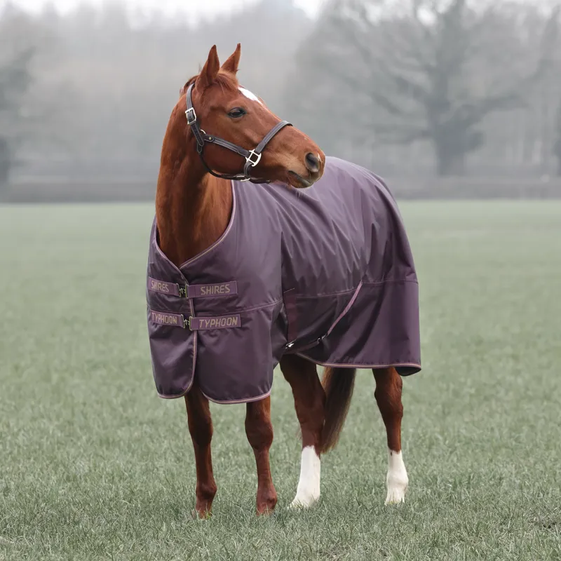 Shires Typhoon Turnout Rug 100g in Black Cherry-1