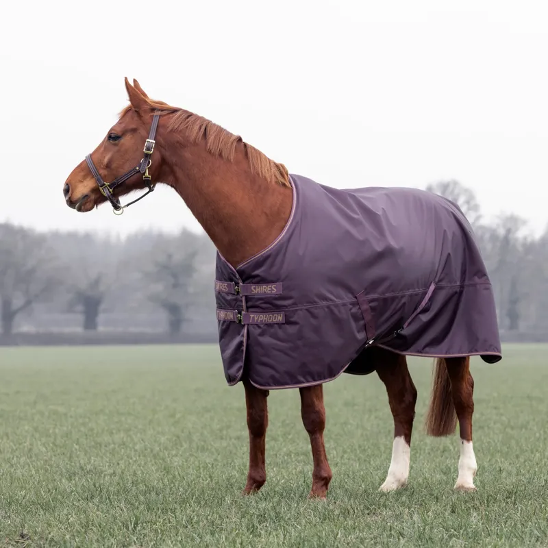 Shires Typhoon Turnout Rug 100g in Black Cherry-2