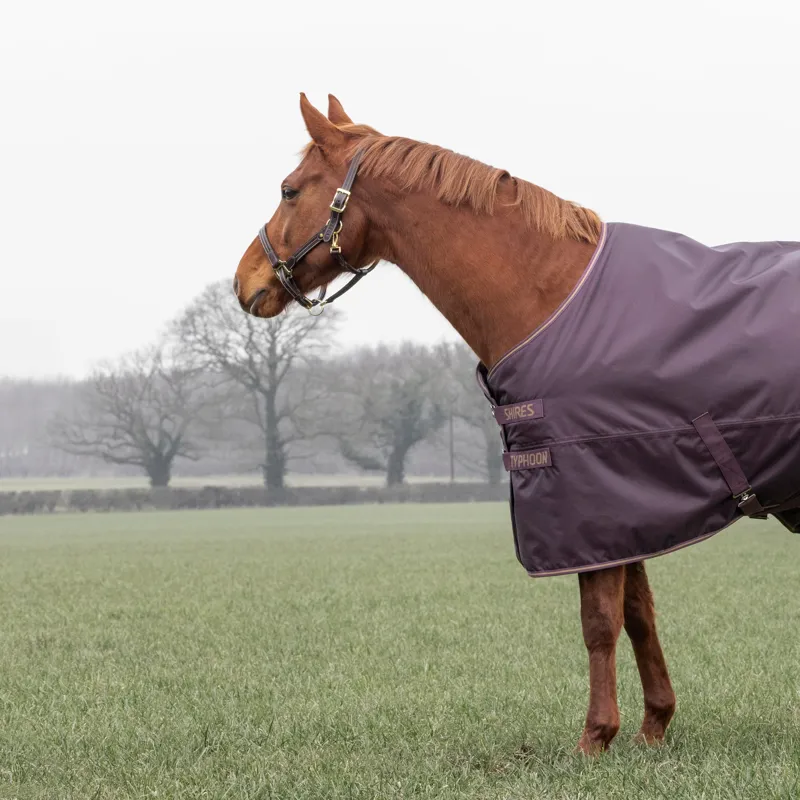 Shires Typhoon Turnout Rug 100g in Black Cherry-3