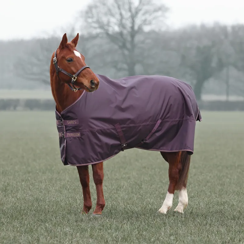 Shires Typhoon Turnout Rug 100g in Black Cherry