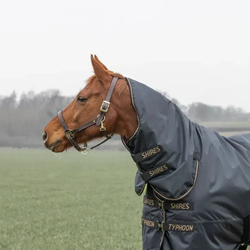 Shires Typhoon Combo Turnout Rug 50g in Black-3