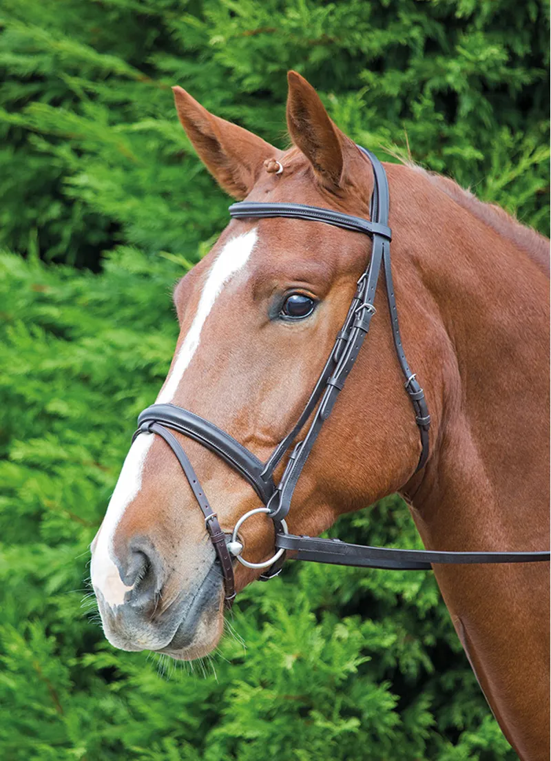 Velociti GARA Comfort Fit Bridle in Havana