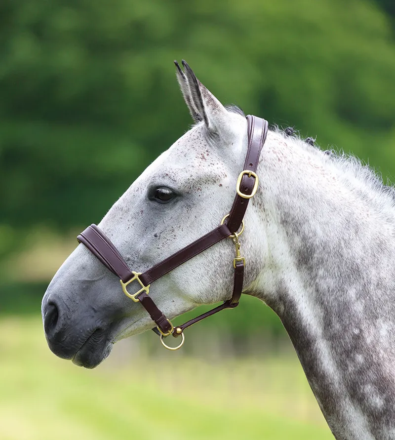 Velociti GARA Travel Leather Headcollar in Brown