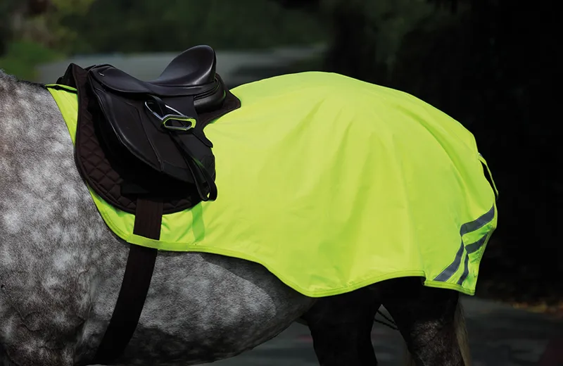 EQUI-FLECTOR Mesh Exercise Sheet in Yellow