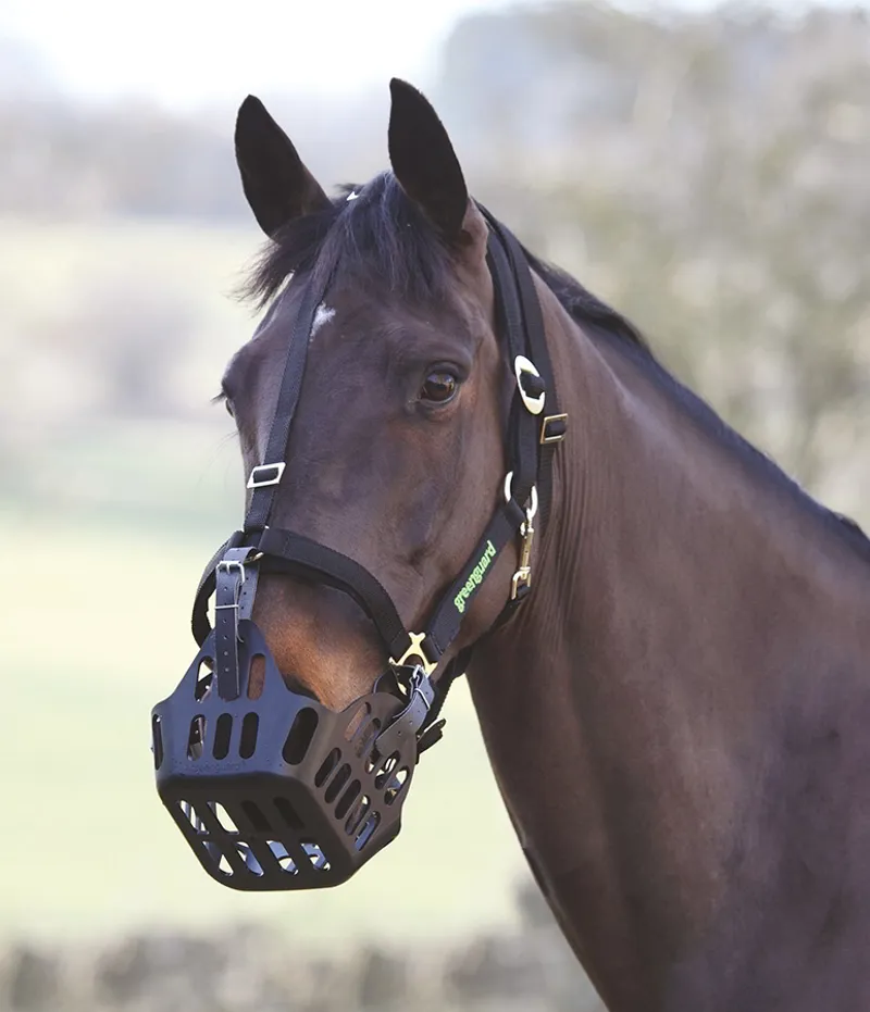 Shires Greenguard Grazing Muzzle in Black
