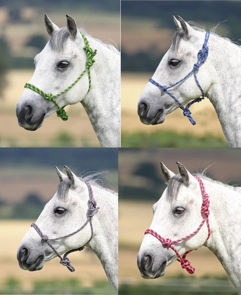 Shires Rope Control Headcollar