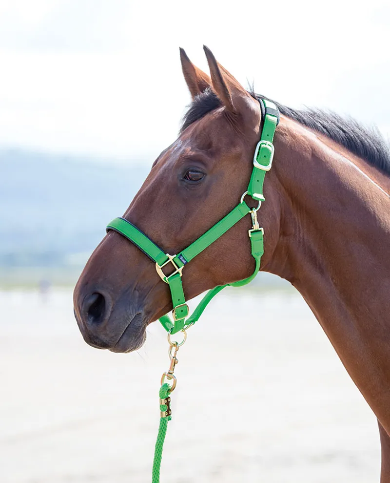 Shires Topaz Nylon Headcollar in Green-1