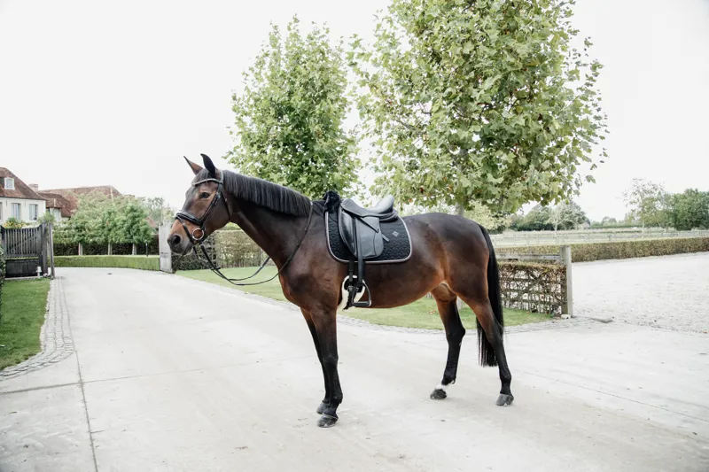 Kentucky Skin Friendly Dressage Saddle Pad in Black-7