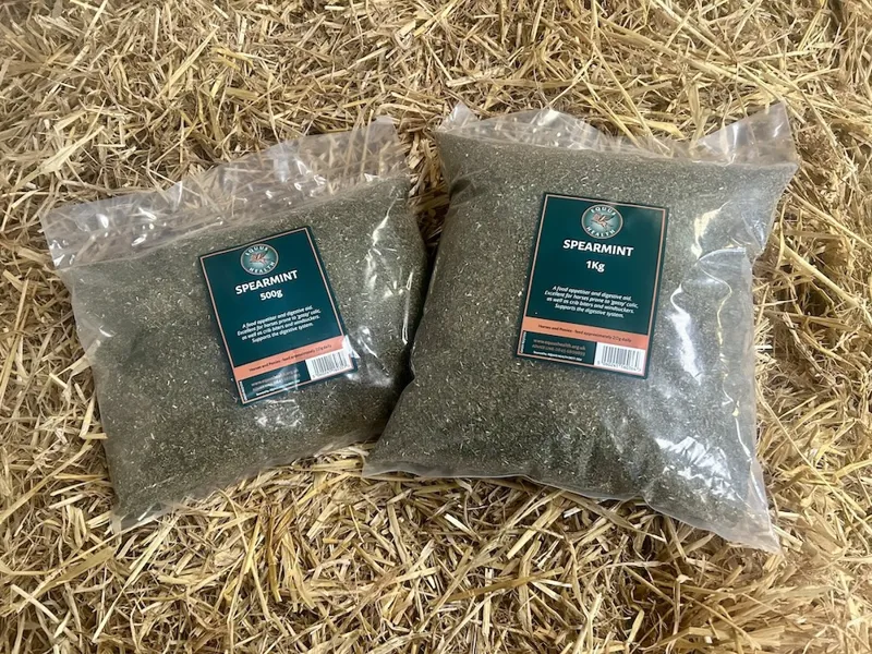 Equus Health Spearmint-1