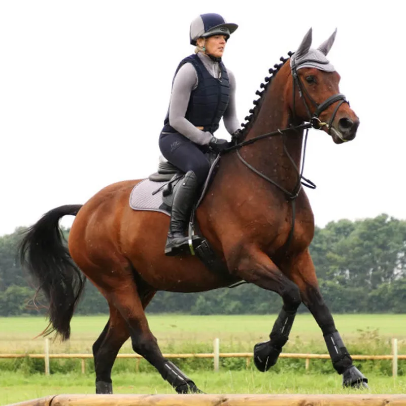 Hy Equestrian Sport Active Fly Veil in Pencil Point Grey - WEB EXCLUSIVE-1