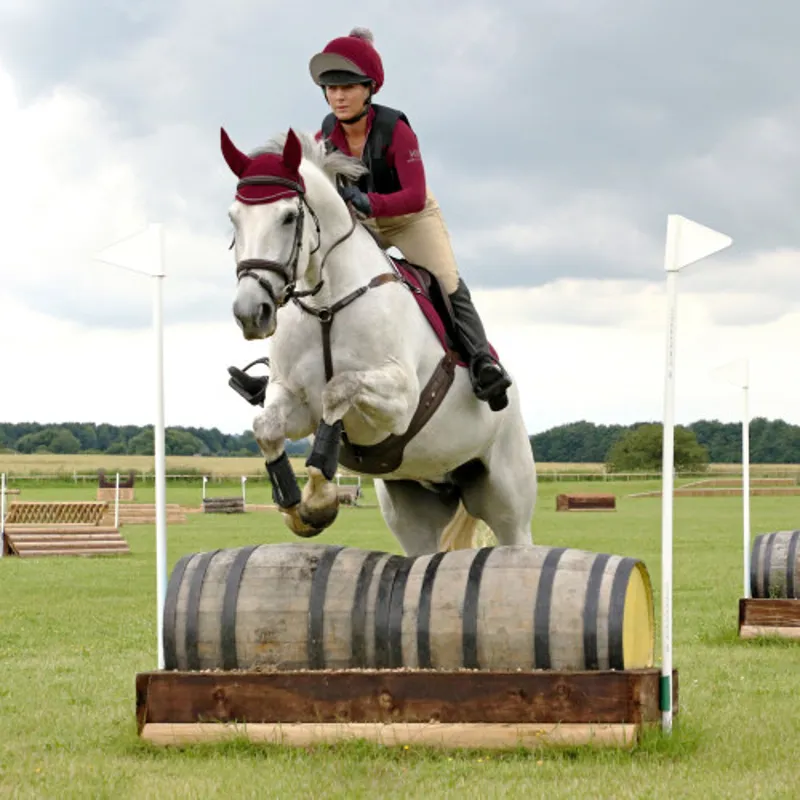 Hy Equestrian Sport Active Fly Veil Cob/Full in Vivid Merlot - WEB EXCLUSIVE-2
