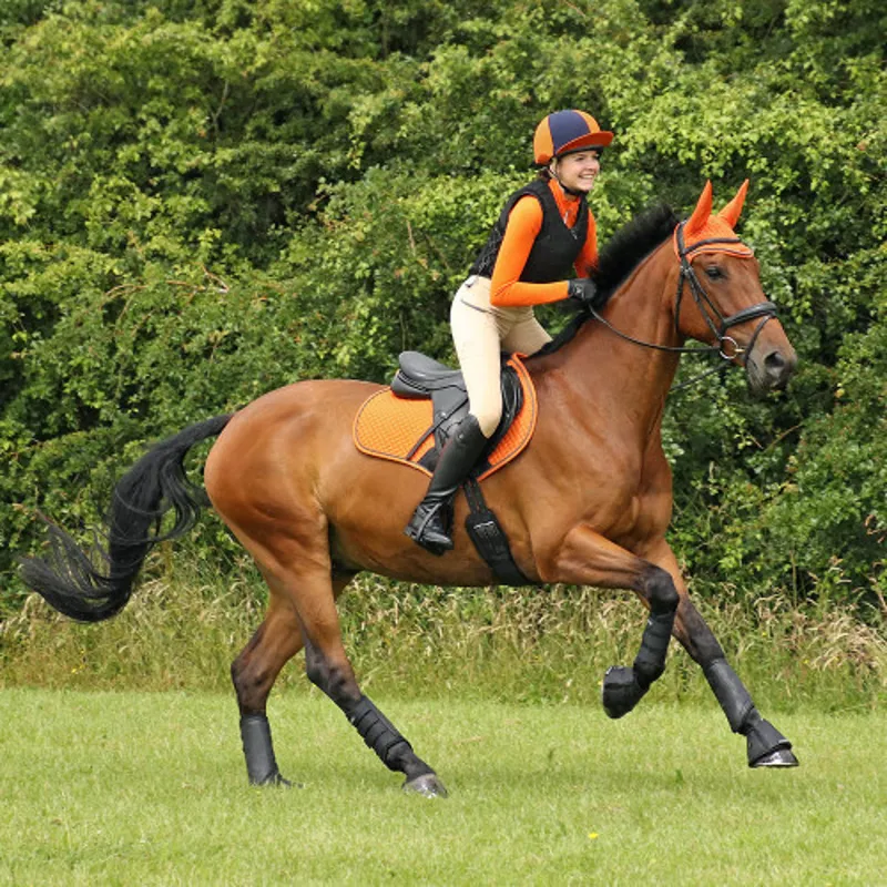 Hy Equestrian Sport Active Hat Silk in Terracotta Orange-2