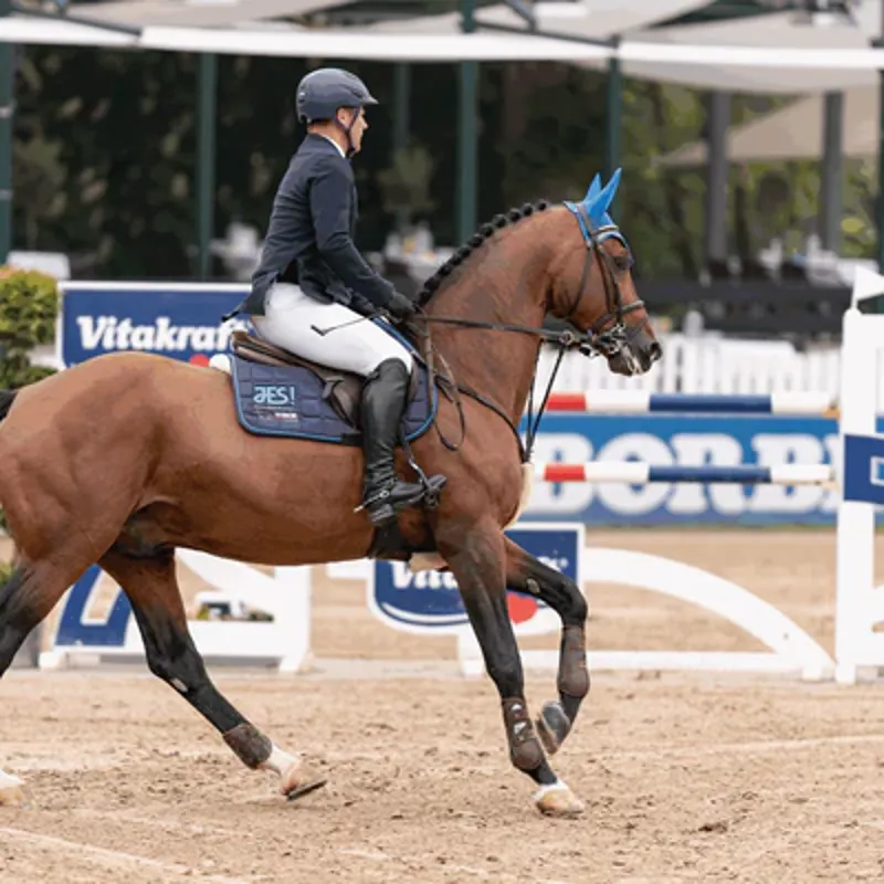 Sprenger Bow Balance Stirrups in Stainless Steel-4