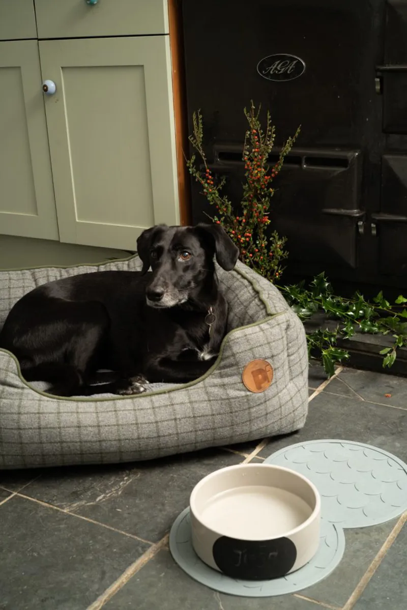 Petface Square Dog Bed in Grey and Moss Green-3