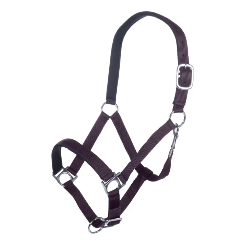 HKM Stars Headcollar with Soft Padding in Dark Lilac