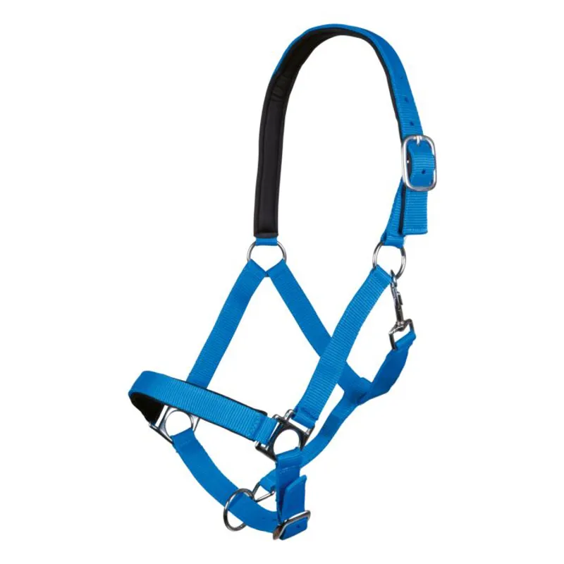 HKM Stars Softice Headcollar with Soft Padding in Corn Blue