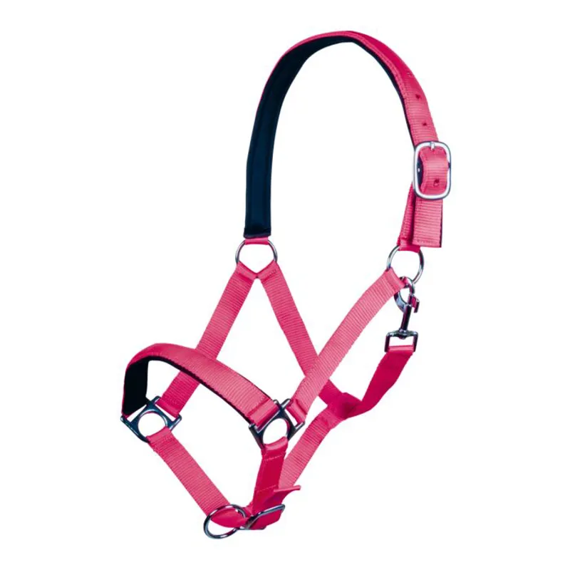 HKM Stars Softice Headcollar with Soft Padding in Pink