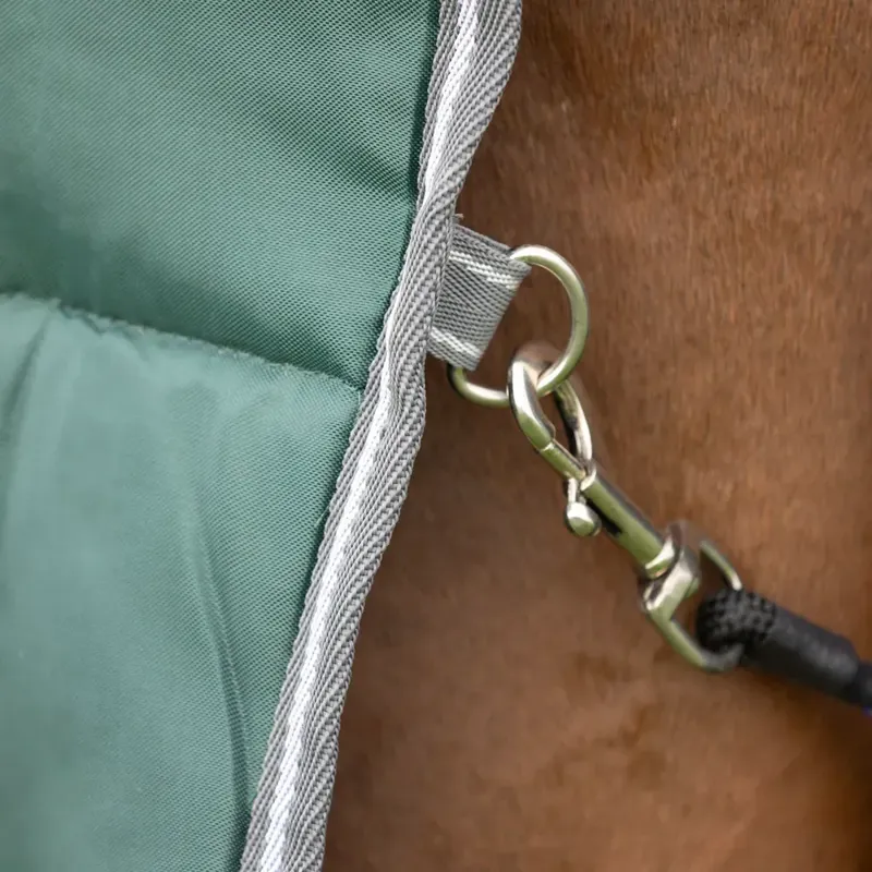 StormX Empra Combi Stable Rug 300g in Green-5