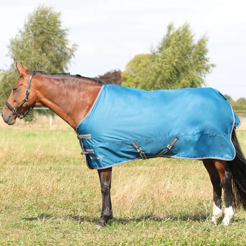 StormX Empra 50g Turnout Rug in Teal