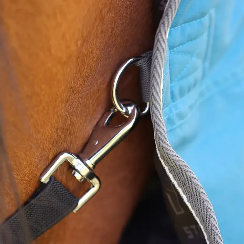 StormX Empra 50g Turnout Rug in Teal-5