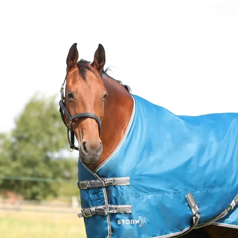 StormX Empra 50g Turnout Rug in Teal-2