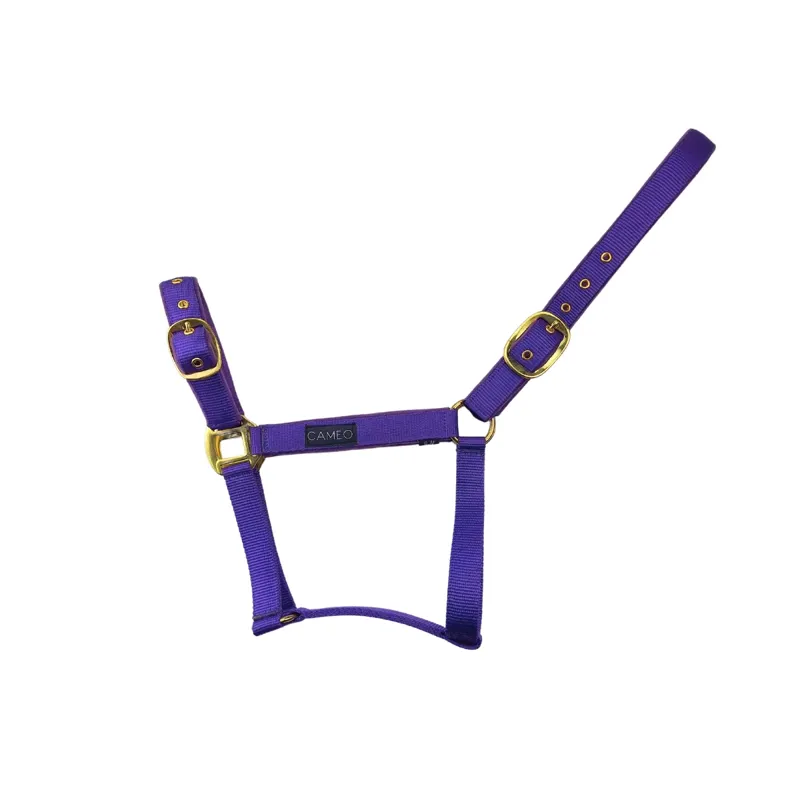 Cameo Suede Padded Headcollar in Deep Purple