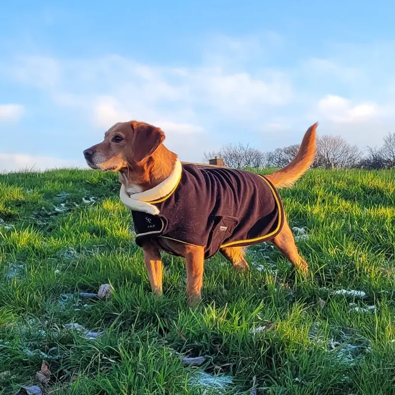 Supreme Products Royal Occasion Fleece Dog Coat in Black