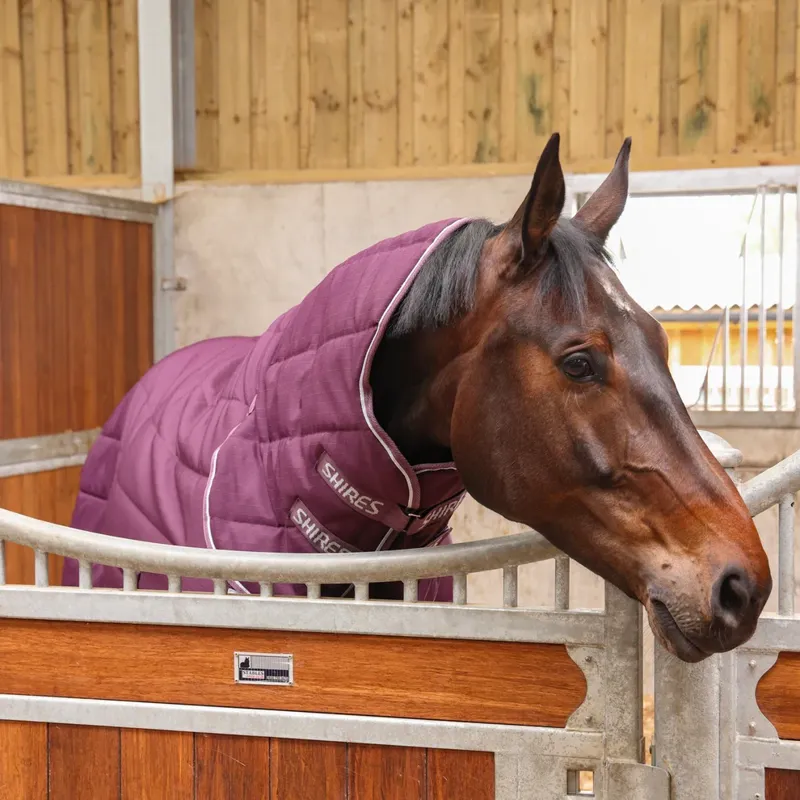Shires Tempest Original 300g Combo Stable Rug in Burgundy