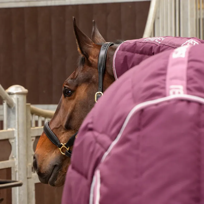 Shires Tempest Original 300g Combo Stable Rug in Burgundy-7
