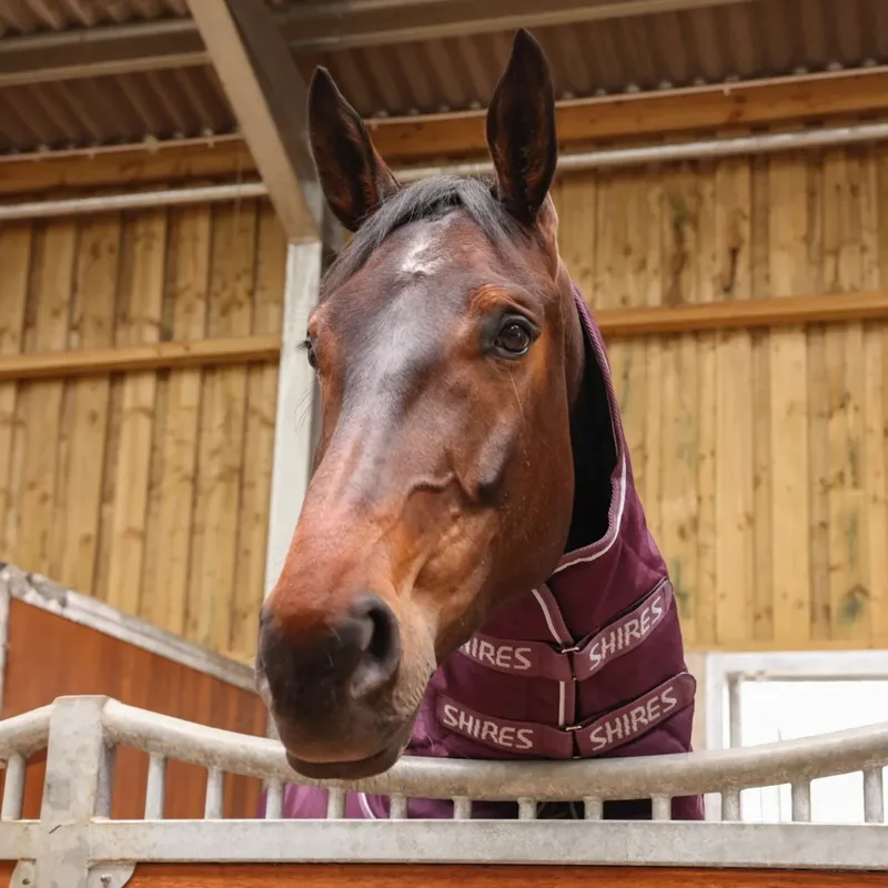 Shires Tempest Original 300g Combo Stable Rug in Burgundy-9
