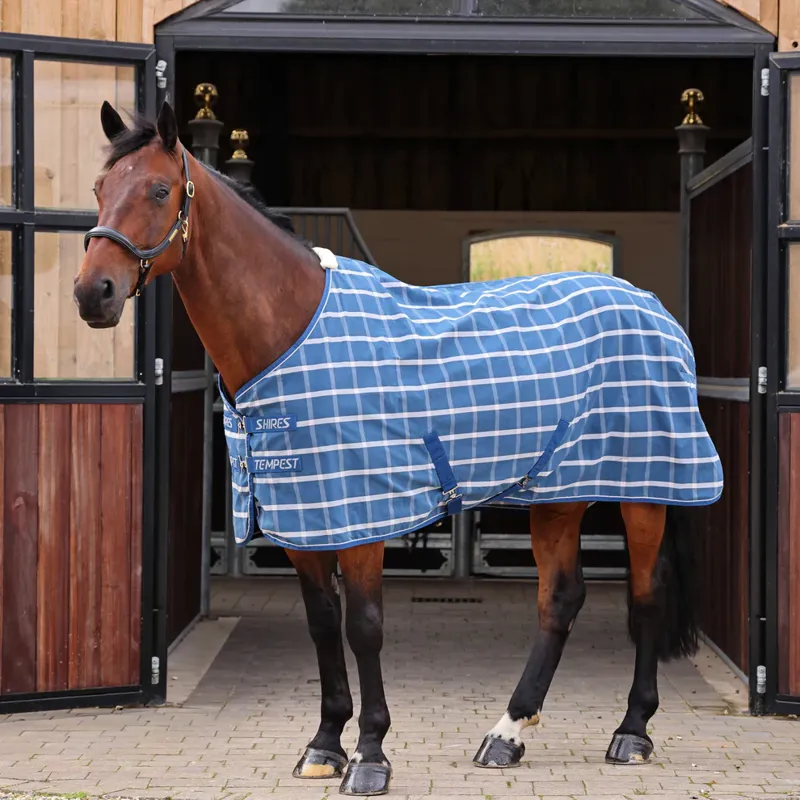 Shires Tempest Original Stable Sheet in Teal Check