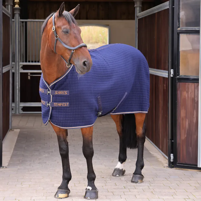 Shires Tempest Original Tech Cooler Rug in Ink