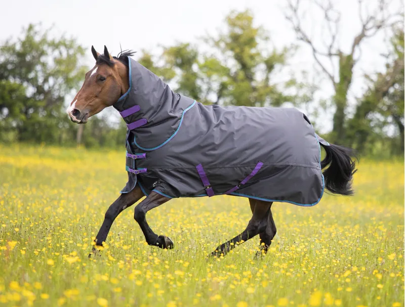 Shires Tempest Original 300g Turnout Rug and Neck Set in Black
