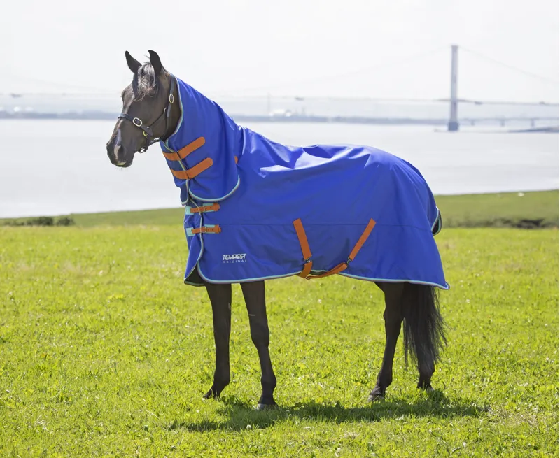 Shires Tempest Original 50g Combo Turnout Rug in Royal-2