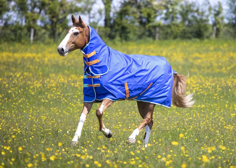 Shires Tempest Original 50g Combo Turnout Rug in Royal-3