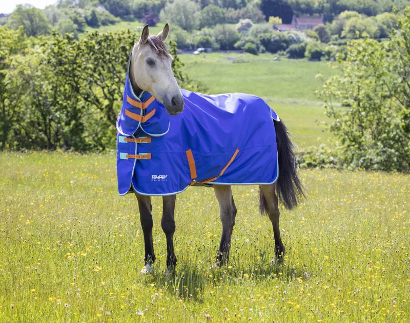 Shires Tempest Original 50g Combo Turnout Rug in Royal-4